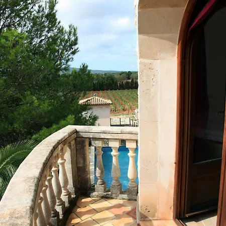 Hotel Weingut & Davero
