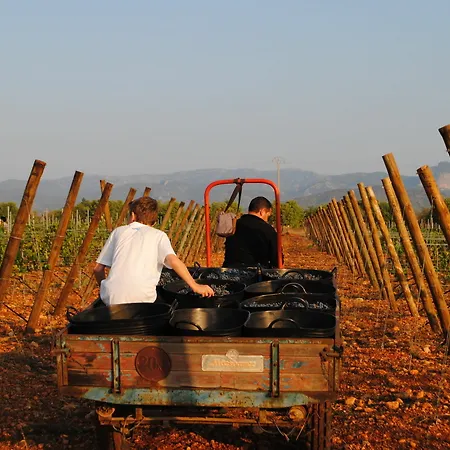Hotel Weingut & Davero